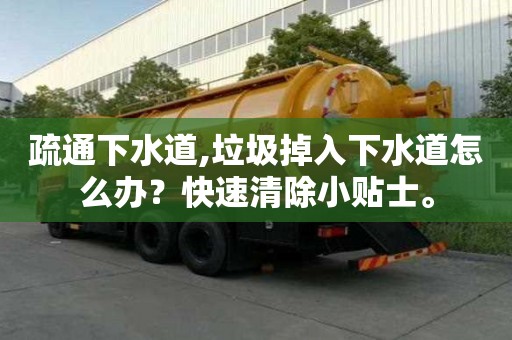 疏通下水道,垃圾掉入下水道怎么辦？快速清除小貼士。