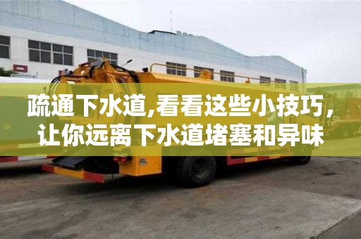 疏通下水道,看看這些小技巧，讓你遠離下水道堵塞和異味