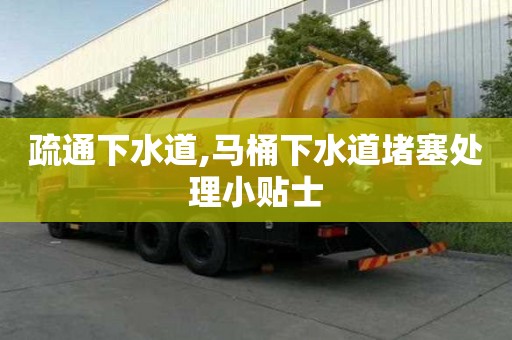 疏通下水道,馬桶下水道堵塞處理小貼士