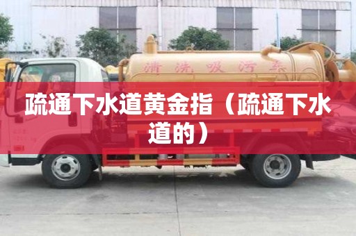 疏通下水道黃金指（疏通下水道的）