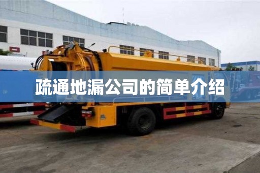 疏通地漏公司的簡單介紹