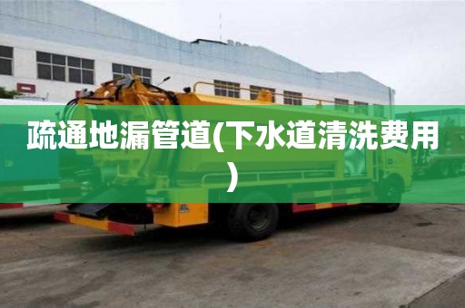 疏通地漏管道(下水道清洗費用)