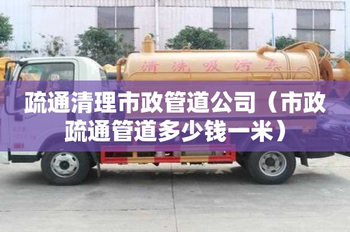 疏通清理市政管道公司（市政疏通管道多少錢一米）
