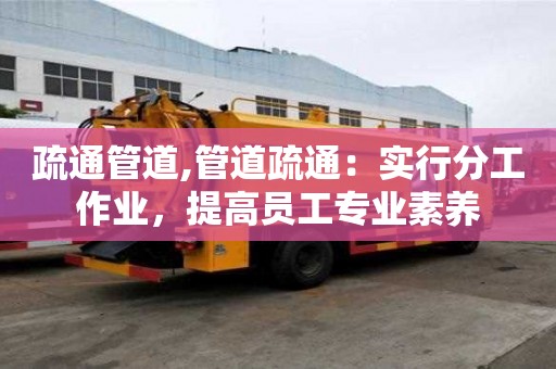 疏通管道,管道疏通：實(shí)行分工作業(yè)，提高員工專業(yè)素養(yǎng)