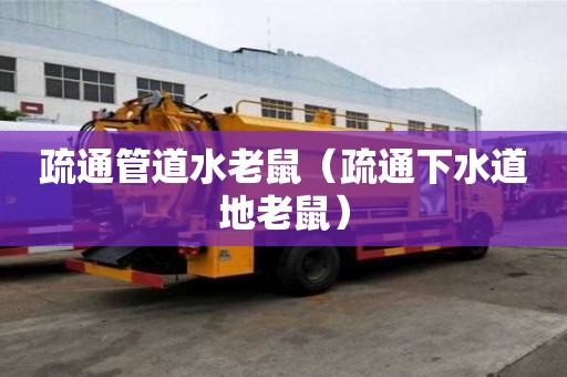 疏通管道水老鼠（疏通下水道地老鼠）