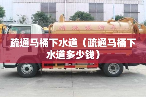 疏通馬桶下水道（疏通馬桶下水道多少錢）