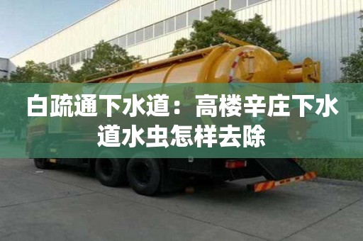 白疏通下水道：高樓辛莊下水道水蟲怎樣去除