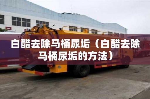 白醋去除馬桶尿垢（白醋去除馬桶尿垢的方法）