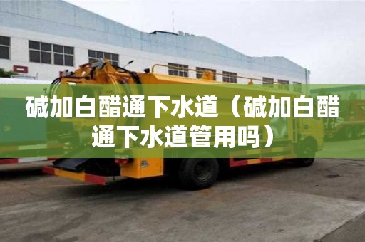 堿加白醋通下水道（堿加白醋通下水道管用嗎）