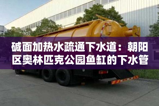 堿面加熱水疏通下水道：朝陽區奧林匹克公園魚缸的下水管道怎么清理