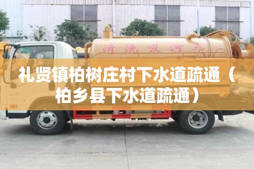 禮賢鎮(zhèn)柏樹(shù)莊村下水道疏通（柏鄉(xiāng)縣下水道疏通）