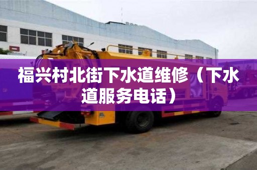 福興村北街下水道維修（下水道服務電話）