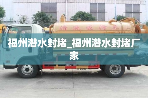 福州潛水封堵_福州潛水封堵廠家