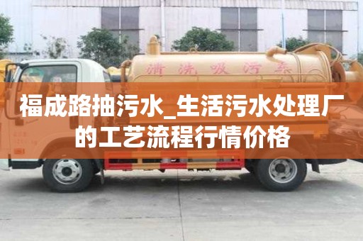 福成路抽污水_生活污水處理廠的工藝流程行情價格