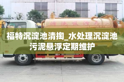 福特沉淀池清掏_水處理沉淀池污泥懸浮定期維護