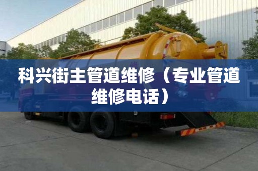 科興街主管道維修（專業管道維修電話）