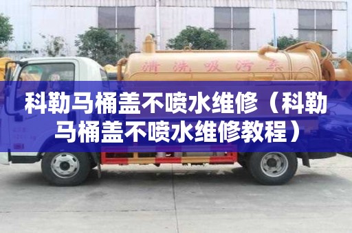 科勒馬桶蓋不噴水維修（科勒馬桶蓋不噴水維修教程）