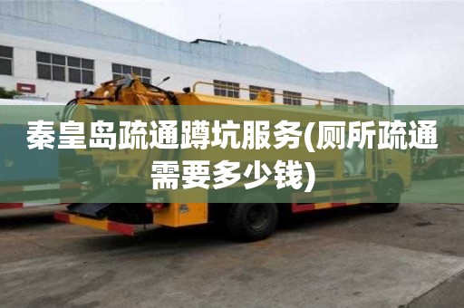 秦皇島疏通蹲坑服務(廁所疏通需要多少錢)