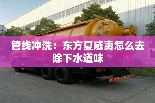 管線沖洗：東方夏威夷怎么去除下水道味