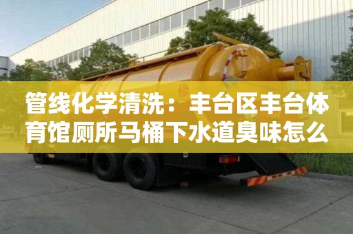 管線化學清洗：豐臺區(qū)豐臺體育館廁所馬桶下水道臭味怎么消除