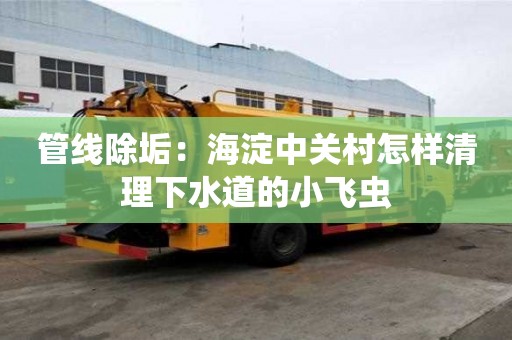 管線除垢：海淀中關(guān)村怎樣清理下水道的小飛蟲