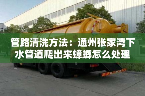 管路清洗方法：通州張家灣下水管道爬出來蟑螂怎么處理