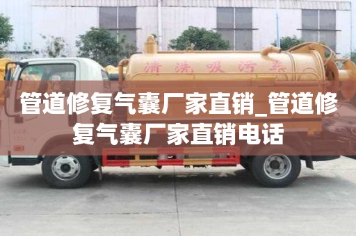 管道修復(fù)氣囊廠家直銷_管道修復(fù)氣囊廠家直銷電話