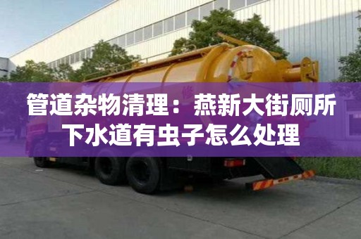 管道雜物清理：燕新大街廁所下水道有蟲子怎么處理