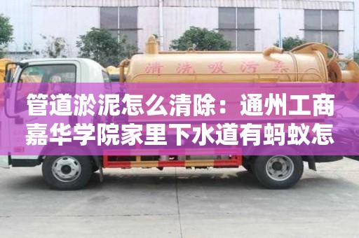 管道淤泥怎么清除：通州工商嘉華學院家里下水道有螞蟻怎么處理