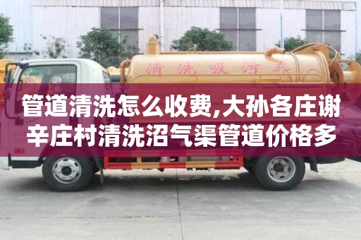 管道清洗怎么收費,大孫各莊謝辛莊村清洗沼氣渠管道價格多少
