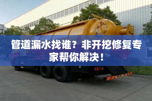 管道漏水找誰？非開挖修復專家?guī)湍憬鉀Q！