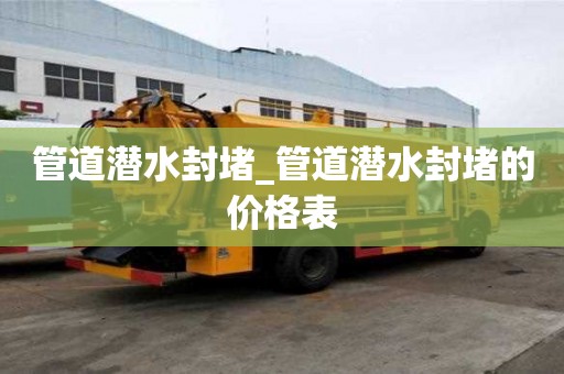 管道潛水封堵_管道潛水封堵的價格表
