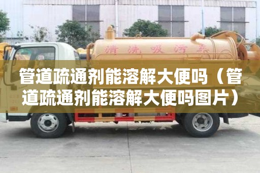 管道疏通劑能溶解大便嗎（管道疏通劑能溶解大便嗎圖片）