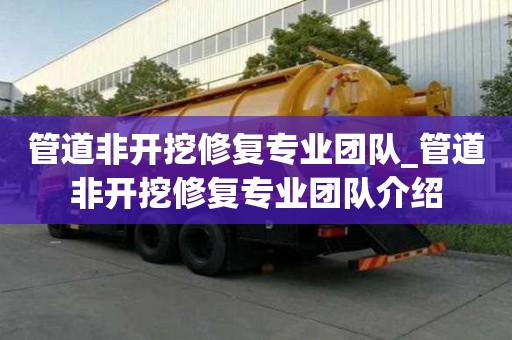 管道非開挖修復專業團隊_管道非開挖修復專業團隊介紹