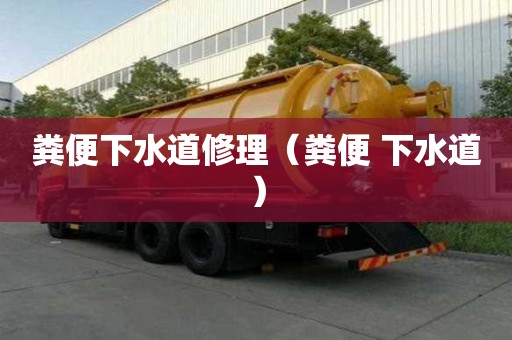 糞便下水道修理（糞便 下水道）