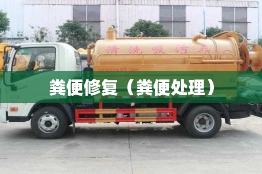 糞便修復(fù)（糞便處理）