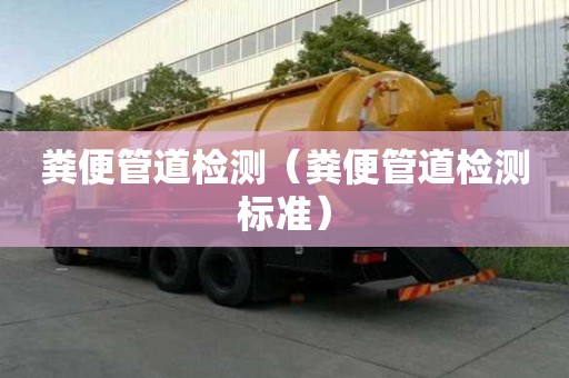 糞便管道檢測（糞便管道檢測標準）