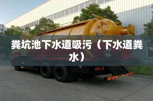 糞坑池下水道吸污（下水道糞水）
