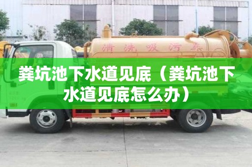 糞坑池下水道見(jiàn)底（糞坑池下水道見(jiàn)底怎么辦）