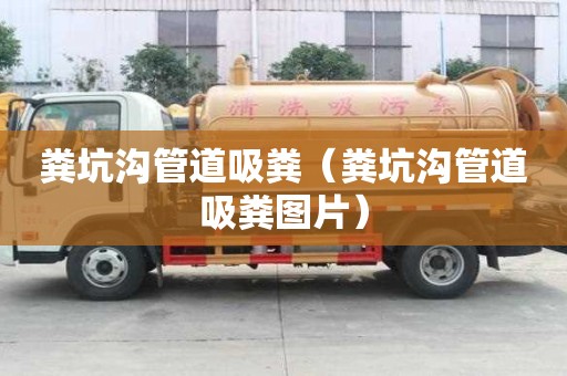糞坑溝管道吸糞（糞坑溝管道吸糞圖片）