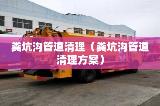 糞坑溝管道清理（糞坑溝管道清理方案）