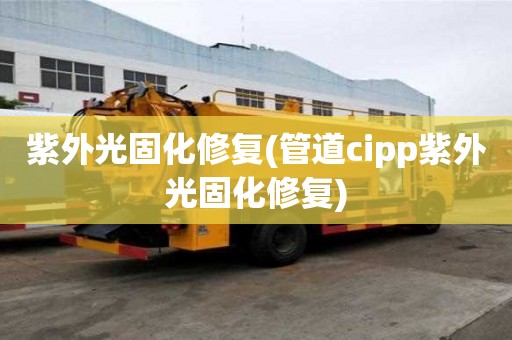 紫外光固化修復(管道cipp紫外光固化修復)