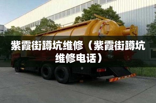 紫霞街蹲坑維修（紫霞街蹲坑維修電話）