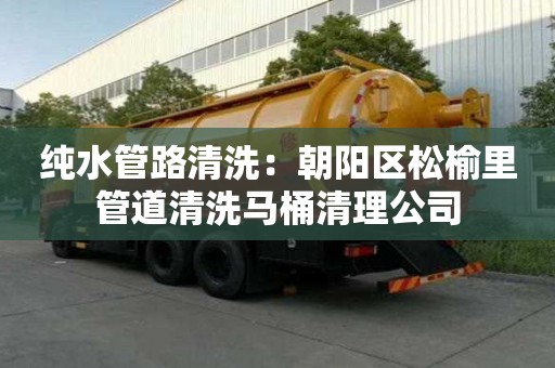 純水管路清洗：朝陽區(qū)松榆里管道清洗馬桶清理公司