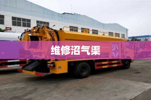 維修沼氣渠 維修沼氣渠