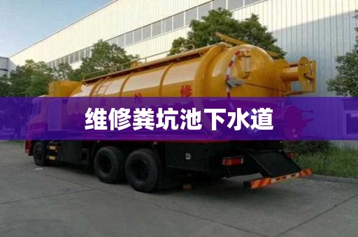 維修糞坑池下水道