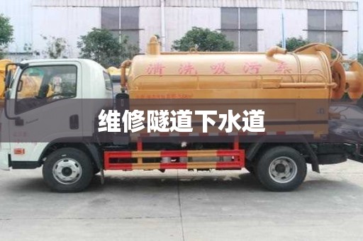 維修隧道下水道
