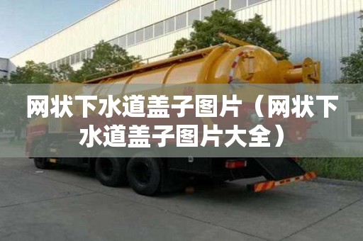 網狀下水道蓋子圖片（網狀下水道蓋子圖片大全）