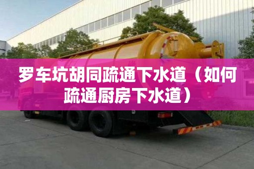 羅車坑胡同疏通下水道（如何疏通廚房下水道）
