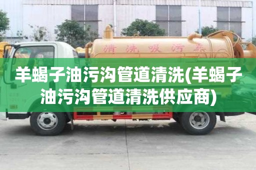 羊蝎子油污溝管道清洗(羊蝎子油污溝管道清洗供應(yīng)商)
